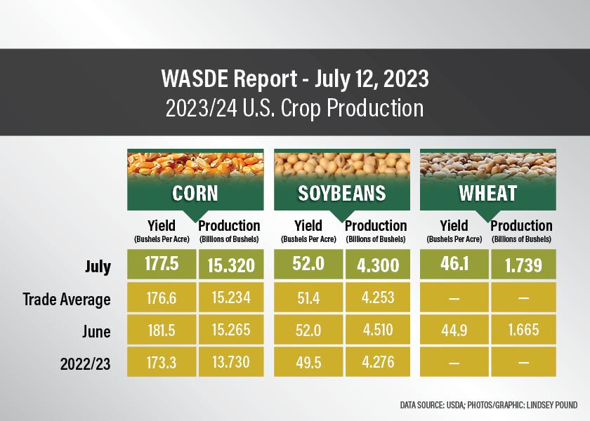 Usda July Report Cuts Ending Stocks For Corn And Wheat